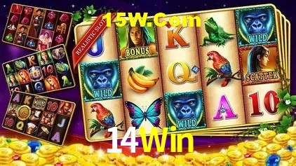 14Win Salvador - Promo Stats